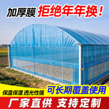 加厚耐撕防漏大棚膜透光蔬菜花卉大棚膜温室大棚养殖塑料布防雨布
