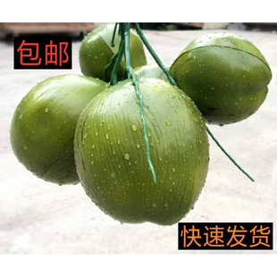 �����Ҭ����Ҭ��Ҭ������Ҭ�Ә�����ϵ��� ����ˮ����ˮ���b�