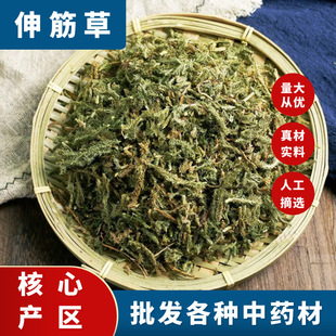 ��ș������ ��ǲ� Ұ����Ʒ��؛͸�ǲ�����ʯ�ɪ{��500g��؛