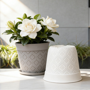 ��֬������ �Wʽ���s�҃ȷ�ʯ�����̨�N����ˮ͸�������������