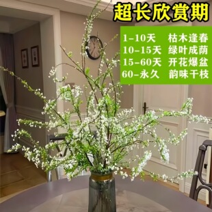 �ذ�ѩ����֦֧�r֦ˮ�B�廨ˮ��ֲ���r�����҃����ԾGֲ�����û�
