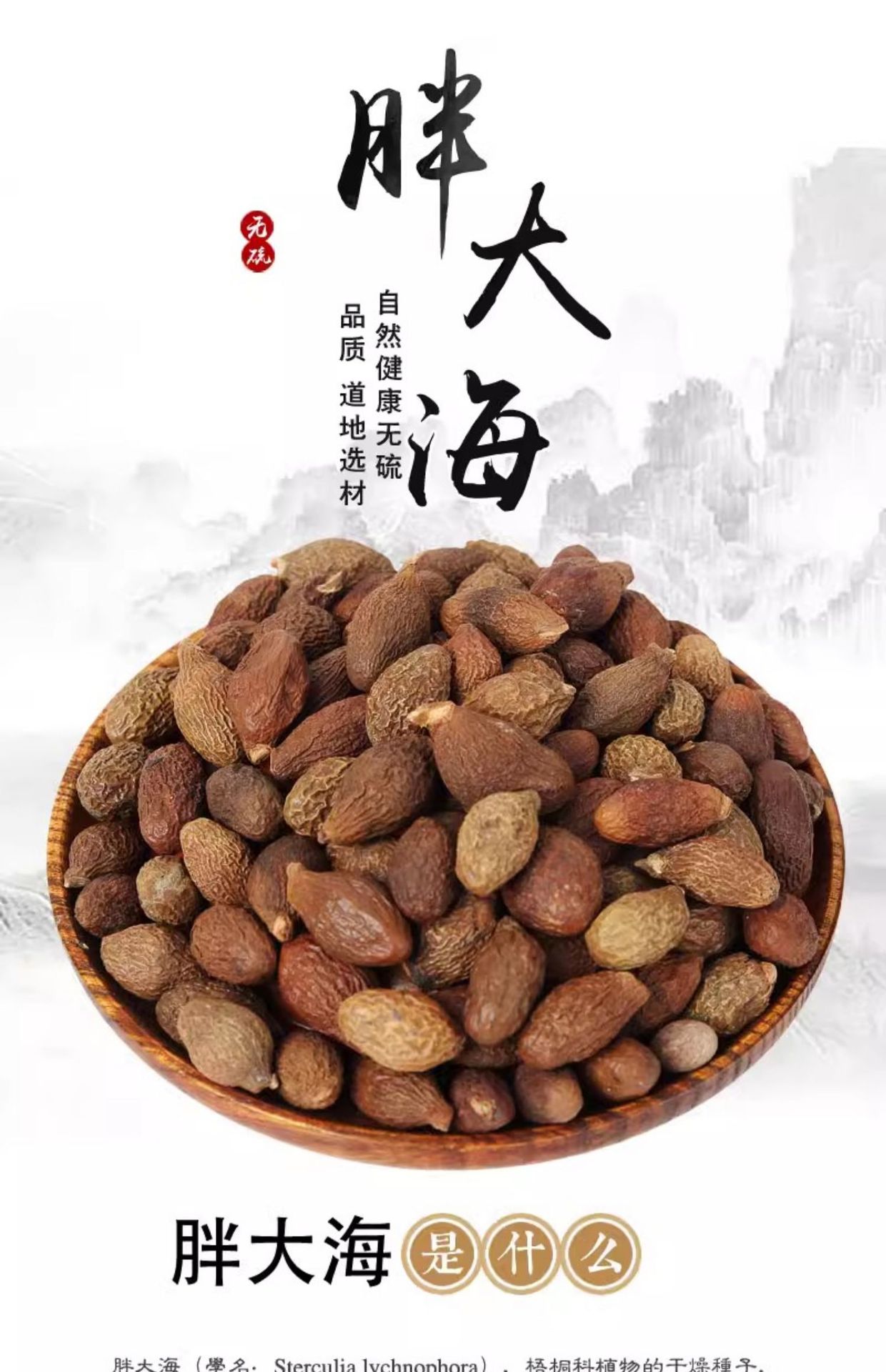 Pang Da Hai Fat Sea Seed Sterculia Seed Dried Herbal Tea 500g Bulk overview