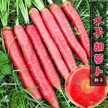 ���t����ˮ�����}���N���ļ���õ��t�t�}���N�����t���}���N��