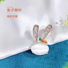 Brooch�¿�؈��ʯ���Ӻ��}�����Ů�����ػ�����ȹ���_���·����