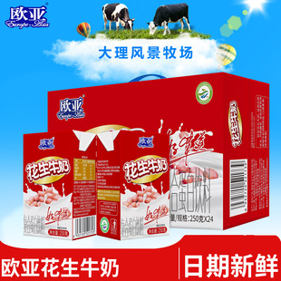 [Date fresh] Euro-Asia plateau peanut milk drink 250g * 24 boxes/box breakfast full box of dairy products
