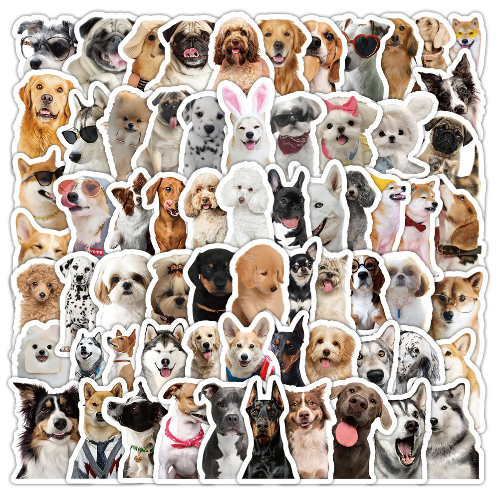 1 Set Dog Cat Learning PVC Self-adhesive Cute Stickers display picture 25