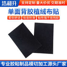 �S�ҹ������z�_�|��NҎ��q���|Ƭֲ�q�z�|�����zֲ�q��ճ���F؛