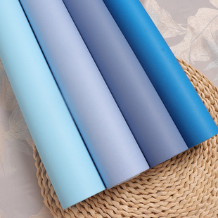 Beitai Wallpaper Light Blue Wallpaper Sky Blue Dark Blue Wallpaper Popular Non-Woven Bedroom Boys Non-Self-Adhesive