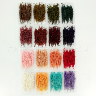 diy�ɻ���Ȼ�������~Ո��ֲ�������Y���b��������㻨����