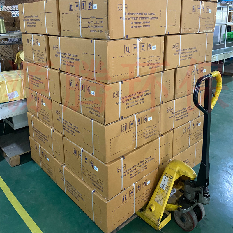 Soft Water Valve 0.5吨反渗透设备软水树脂罐机头润新软化阀F64A