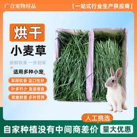 2026年烘干小麦草新草干草兔兔子龙猫荷兰猪牧草饲料粮食主粮1kg