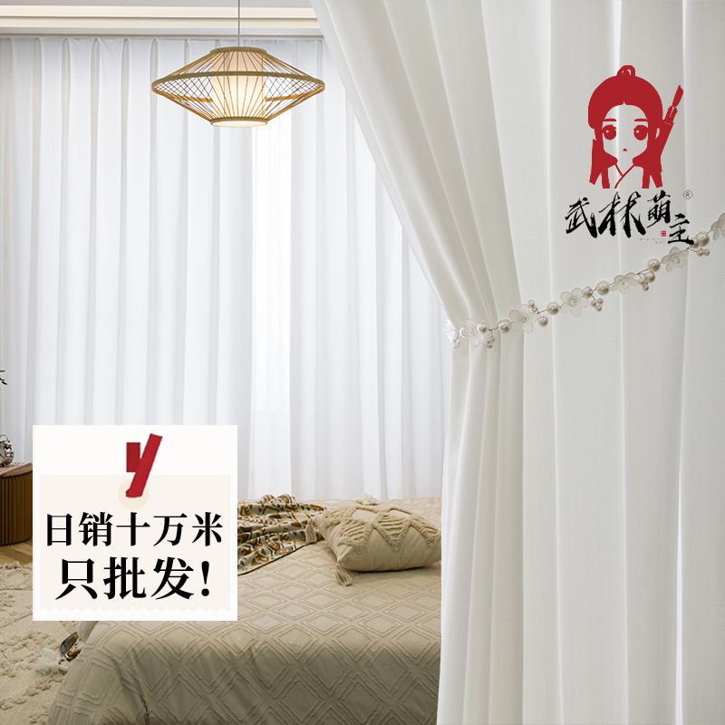 Translucent And Opaque Space Phantom Gauze Thickened Light Luxury Living Room Bedroom White Curtain Window Screen Fabric