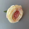 Pink yellow