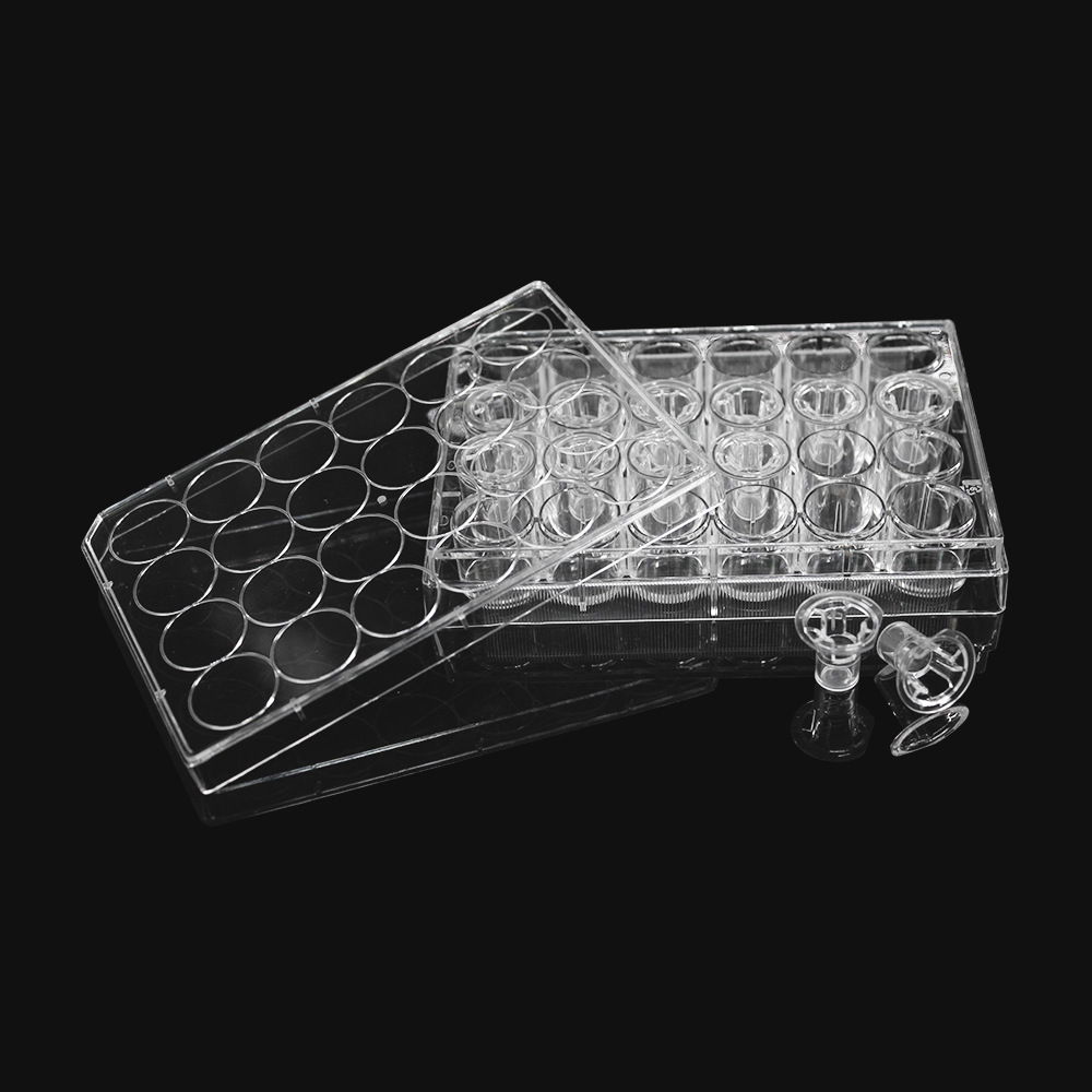 点睿CKSLAB希开 细胞培养小室,含24孔板(PET膜,6.5mm,孔径3μm)