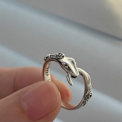蛇形食指戒指女小眾設計輕奢高級感裝飾指環時尚個性古風靈蛇尾戒