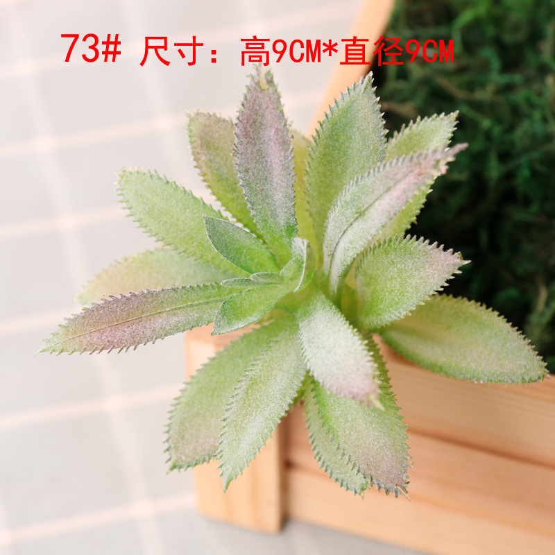 模擬多肉植物、小さな多肉植物、高品質の偽緑植物の壁、室内装飾の組み合わせ、植毛、リアルな模擬花の卸売|undefined