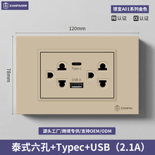 ����118�Ͱ�װ16A̩ʽ̩�����״�USB+TYPE-C2.1A�羳��ó��ɫ����