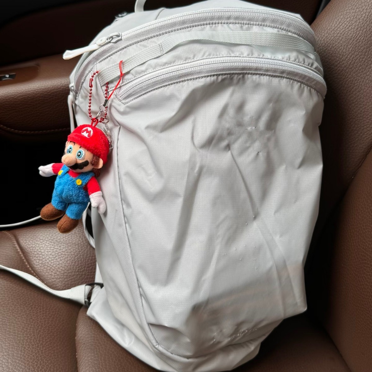 Marca de marea esqueleto de pollo 15L mochila de bordado impermeable, mochila deportiva ligera, bolsa de viaje al aire libre unisex