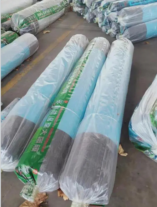 塑料薄膜聚乙烯 透明大棚薄膜中膜加厚室内装修使用8-12S整卷包