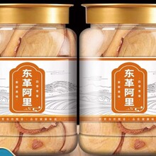 t|ﰢԭƬRҰtƬԭbMږ|ﰢŞoȼӸ