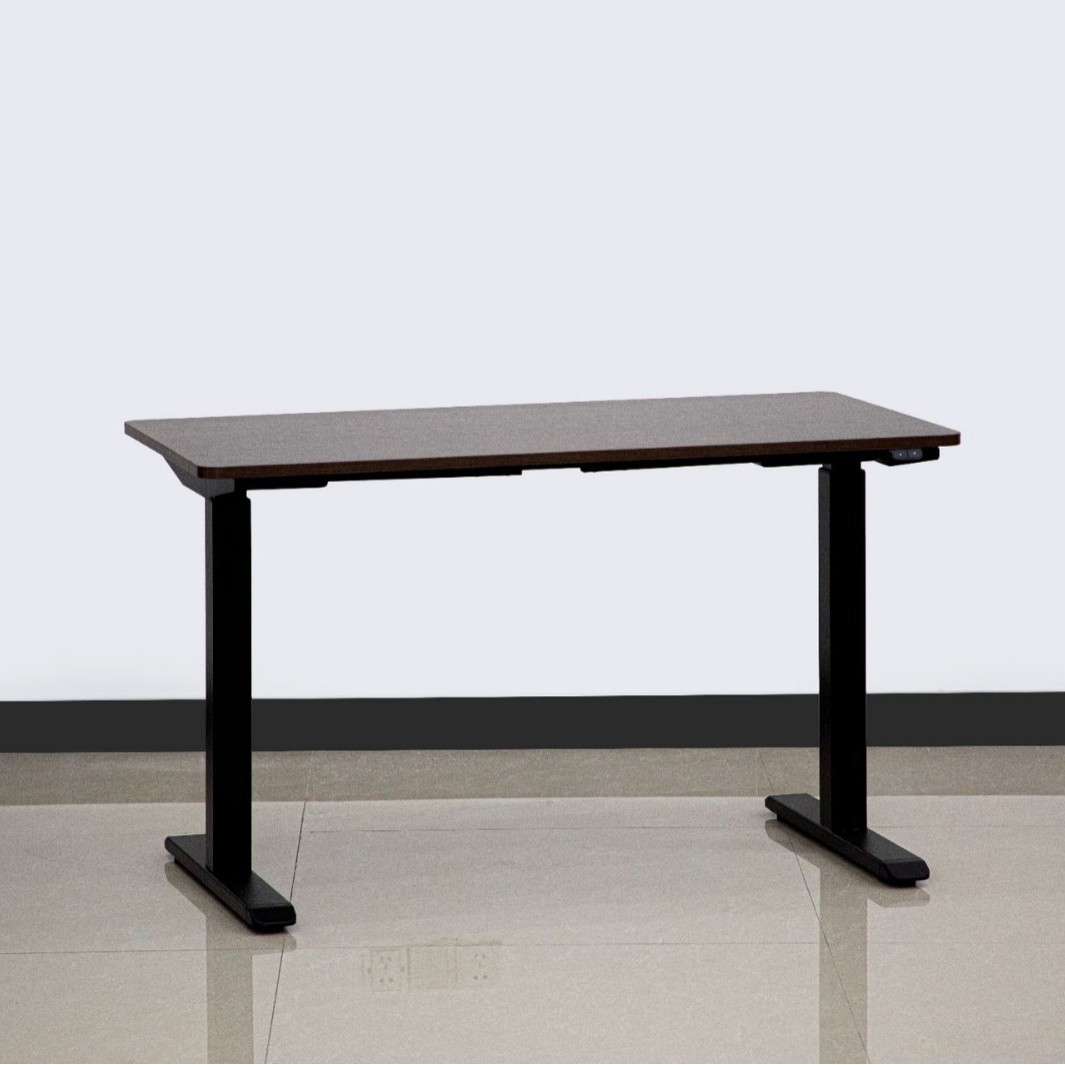 Electric Lift Table Desktop Computer Table Student Desk Study Table Home Office Desk Two Sections