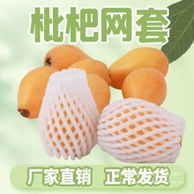 ����ˮ���W�ײ�ɫ���l�����O���W�����˲˻��ֹ���ݮ��ĭ���ӾW��