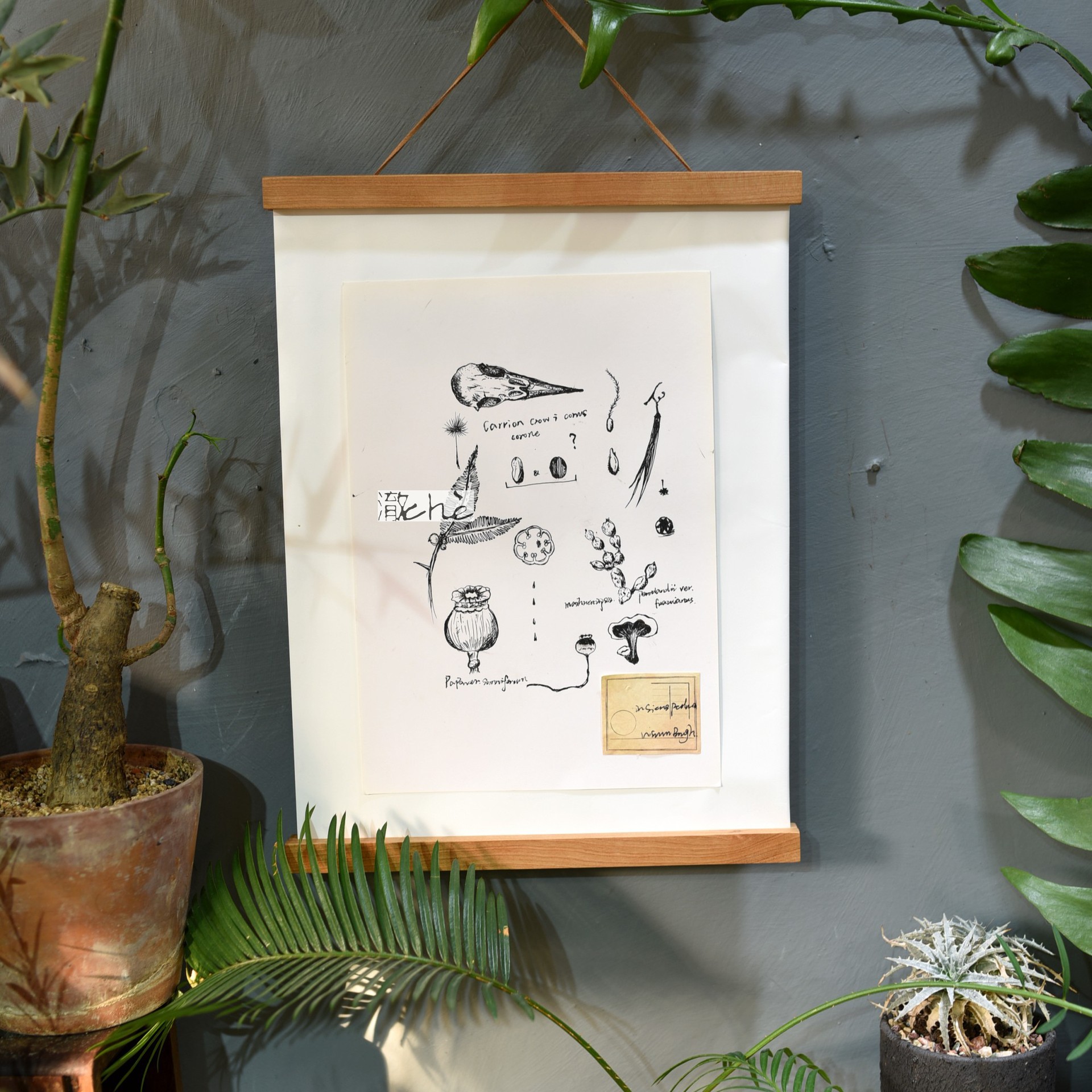 实木画夹海报夹木画框日历年历相片夹实木挂饰黑胡桃榉木日式