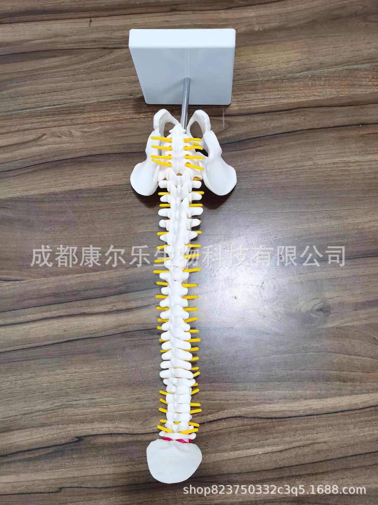 微信图片_20220805092800