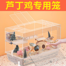 �J���u��B�䌣�û\�������\�ӻ�֦��|���쾰��Ʒ����ιʳ�����l