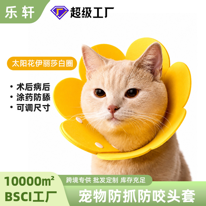 Elizabeth Headgear Cat Sterilization Collar Anti-Licking Collar Collar British Short Cat and Dog Pet Supplies Artifact