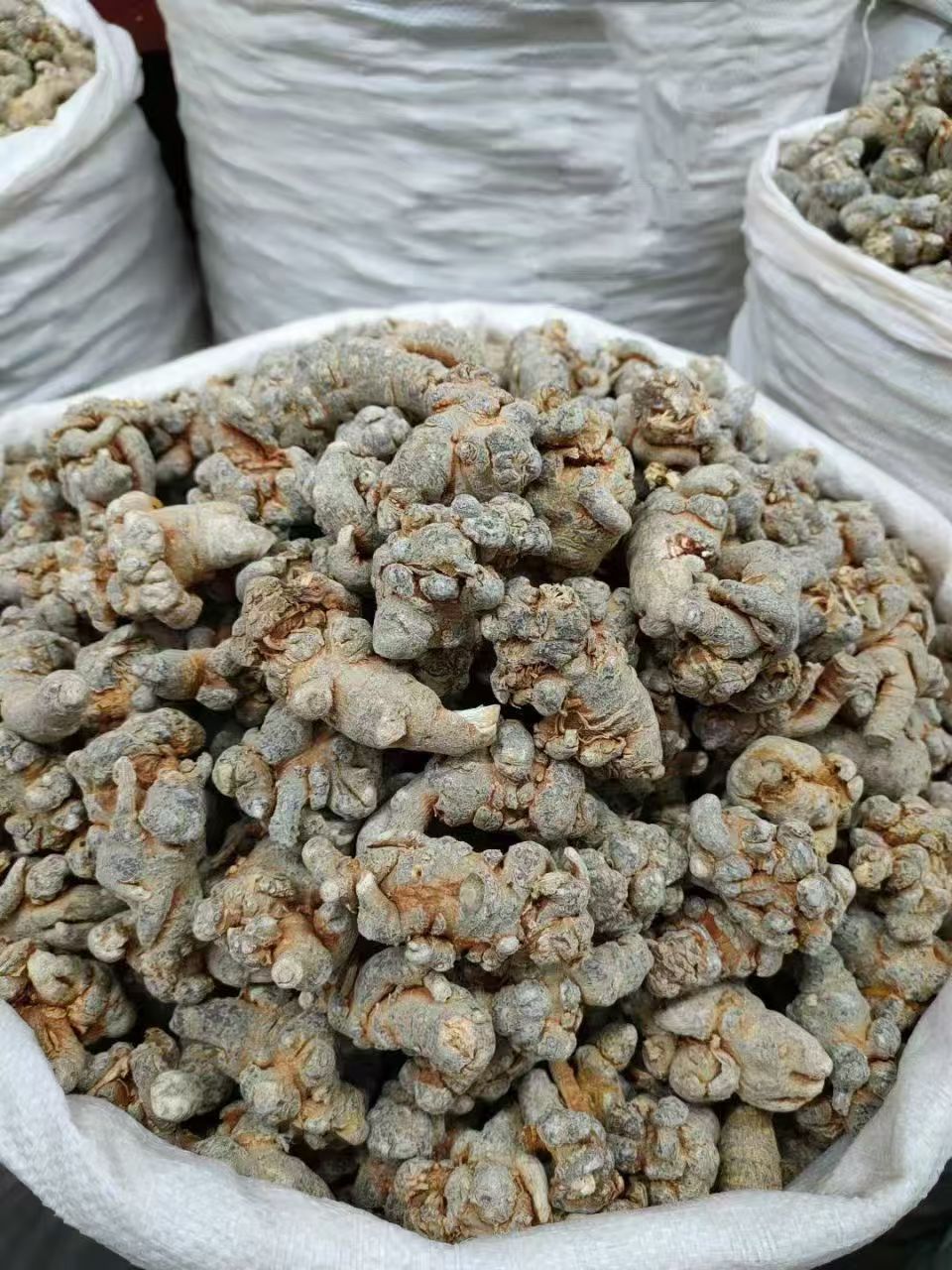Yunnan Wenshan San Qi Notoginseng Slices 500g Sun Dried Sulfur Free Panax notoginseng Root quality and texture