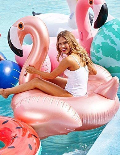 Flamingo Float 3