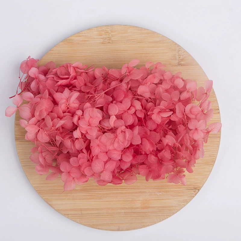 Вечный цветок Сухоцветная коробка Анна Гранди Hydrangea посыпанные лепестки цветов для лица свадьбы оформление Цветочный стиль