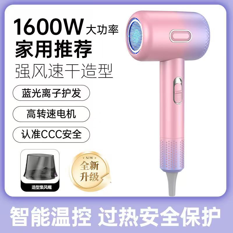 펑치 헤어드라이어 1600w [그라디언트 컬러]