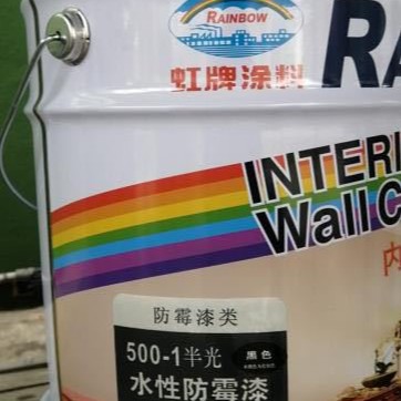 虹牌 水性防霉漆 建筑面内外部 潮湿防霉菌水性涂料耐腐蚀