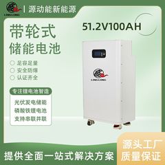 落地式储能锂电池51.2V100AH5120W家庭光伏储能磷酸铁锂电池组