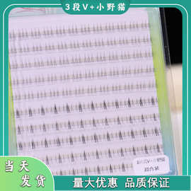 包邮彩思秀10排V型+小野猫混合装下睫毛假睫毛自然透明梗单簇分段