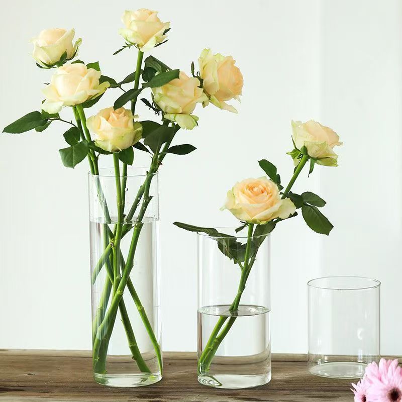 High Borosilicate Anti-Fall Vase Hydroponic Flower Arrangement Rich Bamboo Transparent Straight Flower Decoration Living Room Small Floor-Standing Desktop