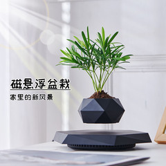 磁悬浮盆栽新奇特花盆创意盆景工艺品礼品教师节礼物客厅摆件
