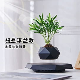 塑料工艺品;教学演示用品;小夜灯