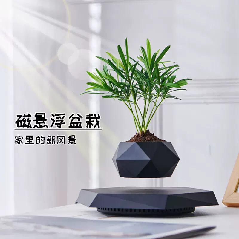 磁悬浮盆栽新奇特花盆创意盆景工艺品礼品教师节礼物客厅摆件批发