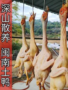 ����Ȫ�ݷ���ɽ��ɢ�B������ĸ���tĘ��������������ֻ���r�F���l