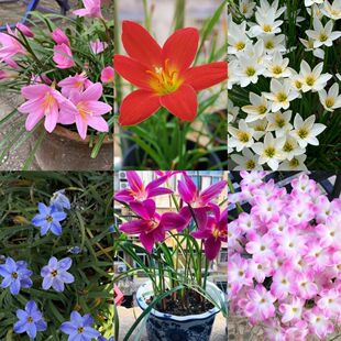 �ļ��_���L���m���B�׻�ͥԺ�̨���Ե��Ի����ͺ��͟�