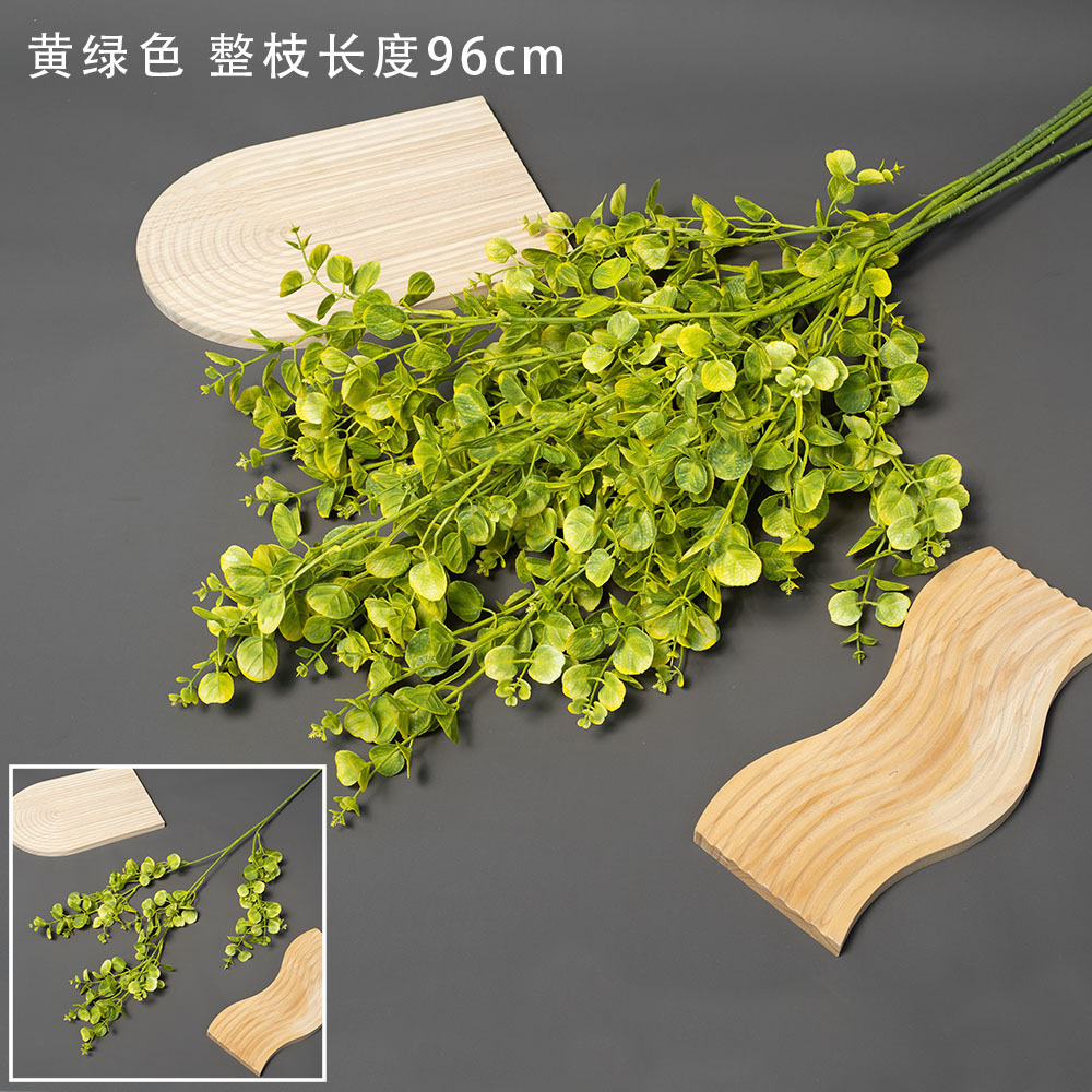 Copper coin leaf yellow green