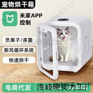 宠物烘干机猫咪烘干箱物用全自动家用小型犬洗澡烘干宠物毛烘干箱