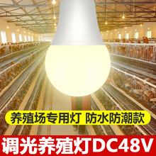 直流DC48V伏低压调光灯泡220V调光养鸡场照明家禽养殖专用灯泡9W