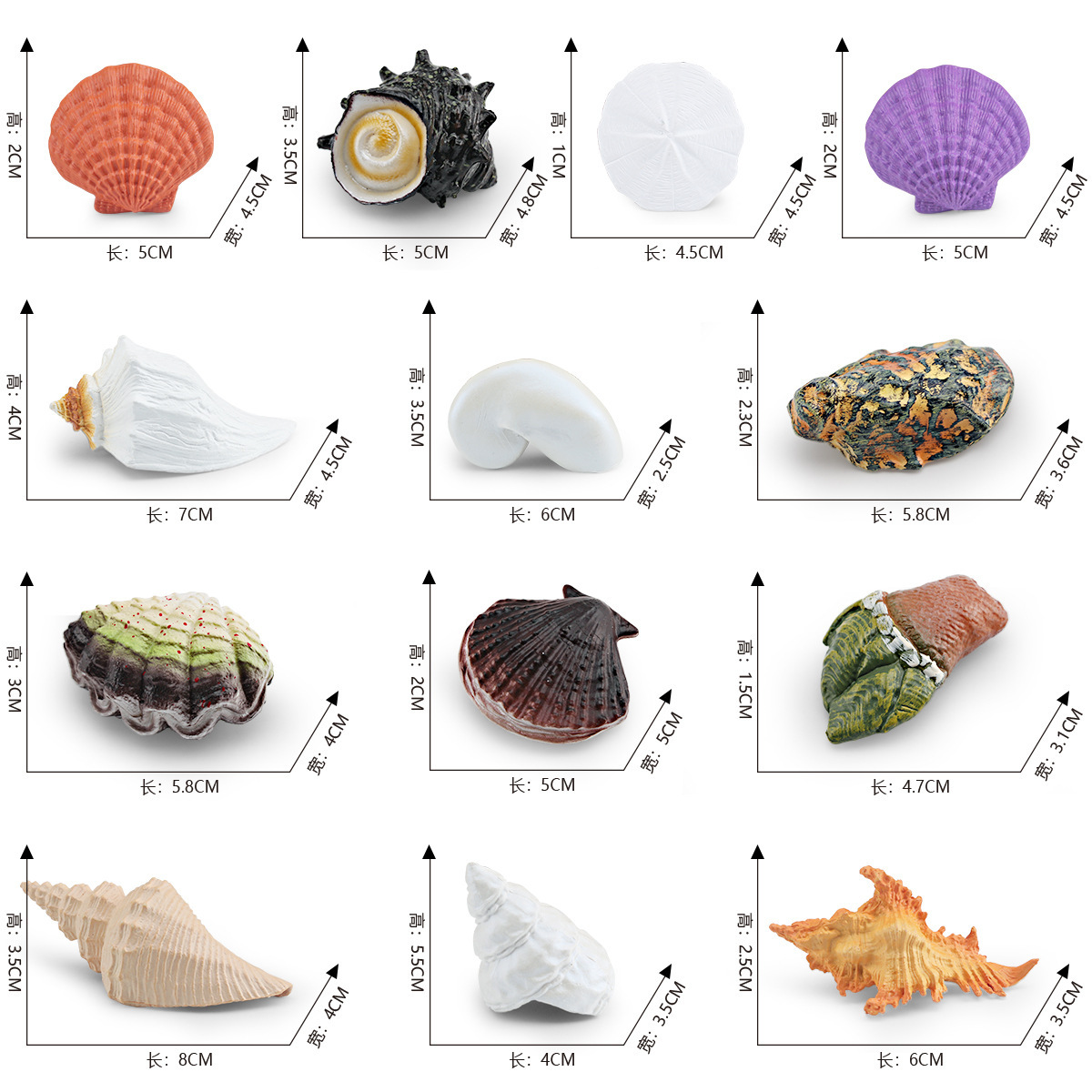 Simulación transfronteriza conchas de flores, caracoles, caracoles, caracoles, huesos de pies, caracoles, ostras, modelo de vida marina, conchas, adornos estáticos