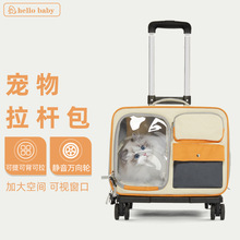 �羳��y͸�⌙�����U����������ﺽ�����������؈�����������l