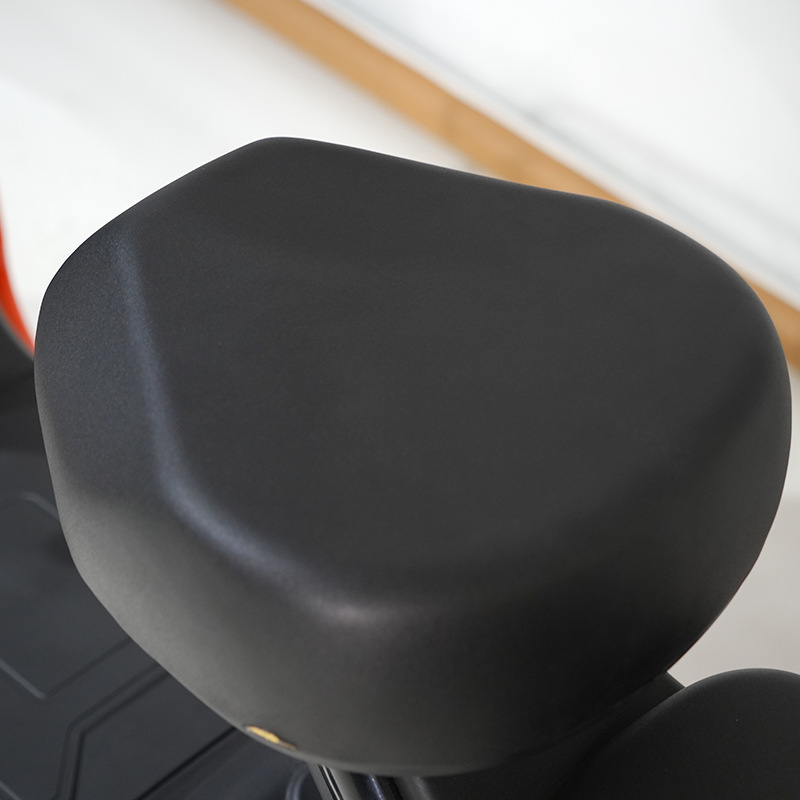 Fábrica de vehículos eléctricos suministro de moda para adultos fábrica de bicicletas eléctricas al por mayor