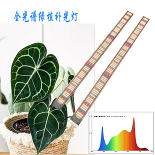 Samsung 301H Green Plant Growth Light Flower Candle Tortoise Bamboo Rose Plant Supplementary Light Full Spectrum Indoor Supplementary Light